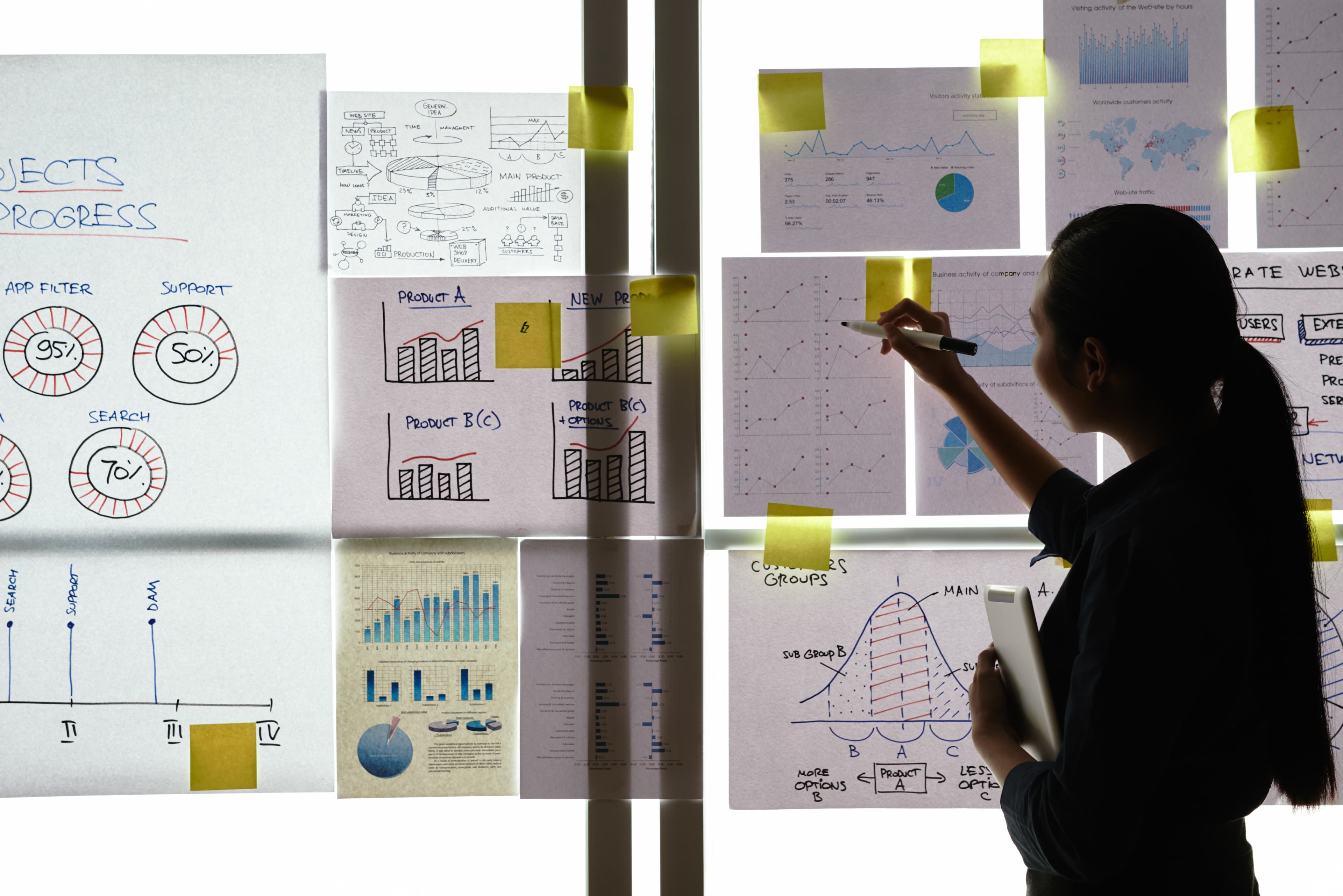 Project Management & Implementation Support