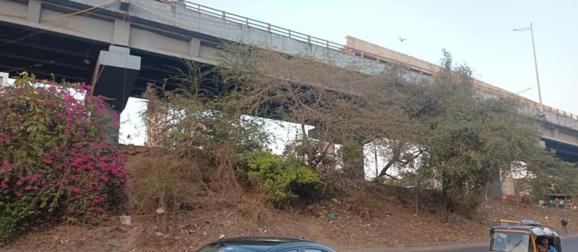BEAUTIFICATION UNDER SEEPZ FLYOVER - Image 5